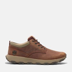 Sneaker Timberland Hombre Winsor Park Marron
